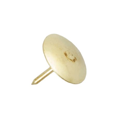 Drawing Pins Brass Plated