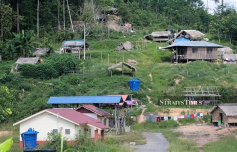 The fate of the orang asli are intertwined with that of the rainforest. Health Ministry confirms measles outbreak among Batek ...