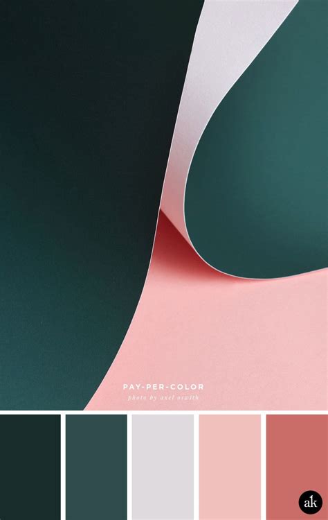 A Paper Photograph Inspired Color Palette — Akula Kreative Akula Color Inspired Kreative