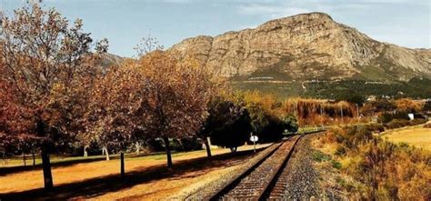 Franschhoek Hop On Hop Off Tram Tour Experience Days Vouchers