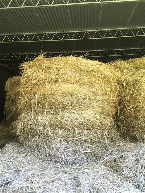 50 Rolls 4x4 Certified Organic Pasture Hay Farm Tender