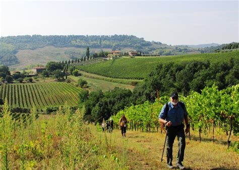 Tuscany And Cinque Terra Tour Italy Sierra Club