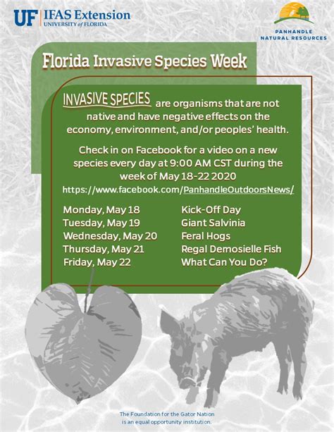 Florida Invasive Species Awareness Week Gardening In The Panhandle