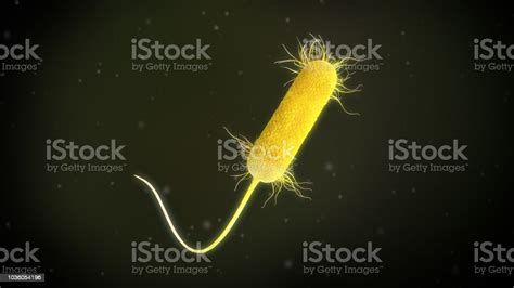 3d Illustration Of A Pseudomonas Aeruginosa Bacteria Stock Photo