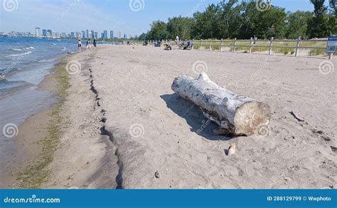 Hanlan S Point Nude Beach View On Toronto Islands Editorial Stock Image Image Of Outdoor