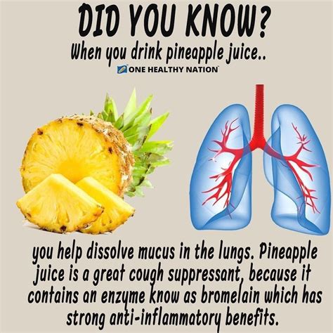 Can Drinking Pineapple Juice Before Colonoscopy Help With Preparation Fruit Faves