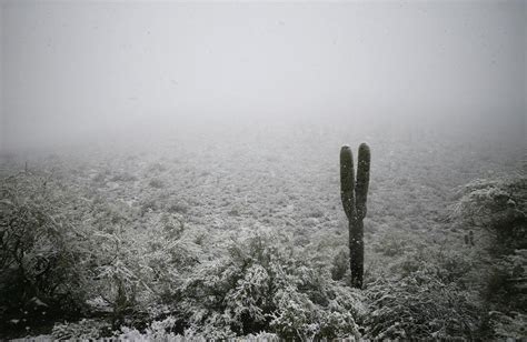 The Last Time It Snowed And Stuck In The City Of Tucson With 10
