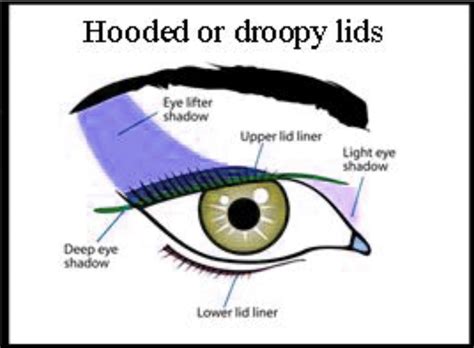 I use it almost every single time i. Eye Makeup Diagram — UNTPIKAPPS