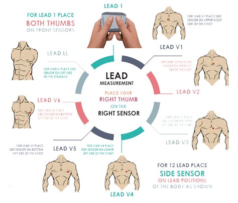 Portable ECG Monitor | ECG Machine Online in India at Best ...
