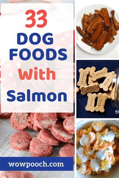 Homemade Dog Food Using Salmon Home And Garden Reference