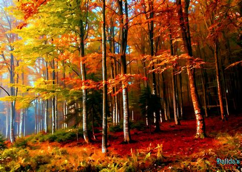 Colorful Forest By Dalidas Art On Deviantart