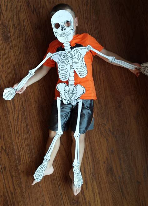 Make A Model Of The Human Skeleton Human Skeleton Human Skeleton