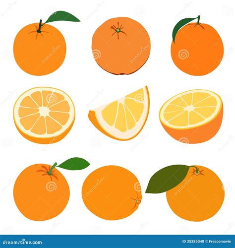 Sistema De Naranjas Ilustración Del Vector Ilustración De Parte