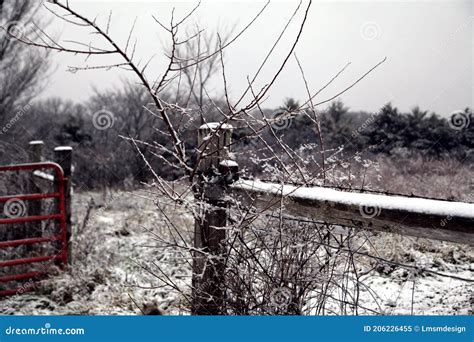 Winter Snow Country Farm Fence Gate Nature Background Stock Image