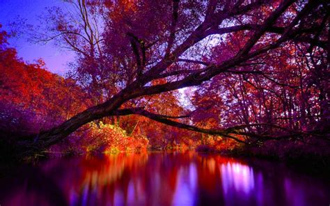 Hd Autumn Forest River Wallpaper Download Free 58243