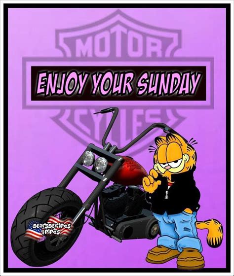 pin by cindy kongslie on harley davidson sunday book cover comic books comic book cover