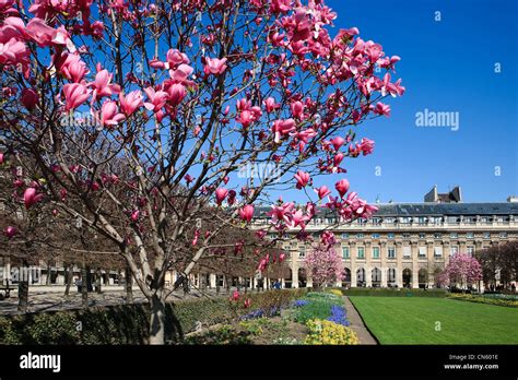 Palais Royal Paris Hi Res Stock Photography And Images Alamy