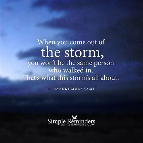 When You Come Out Of The Storm You Wont Be The Same Person Who Walked