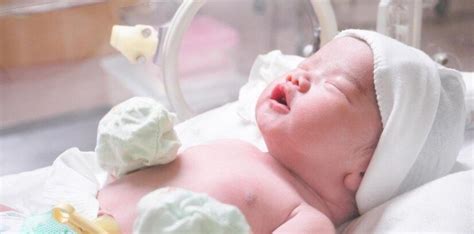 Bayi Prematur 7 Bulan Tanda Tanda Dan Cara Perawatan Ibu Dan Anak
