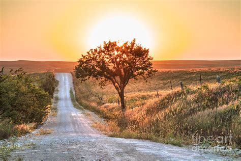 Lonely Country Road Photograph By Jill Van Doren Rolo Fine Art America