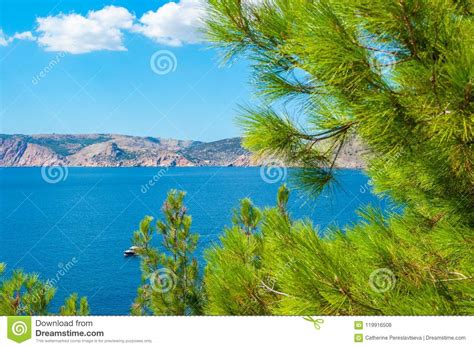 Sea And Mountain Views Through The Trees Stock Photo Image Of Ocean