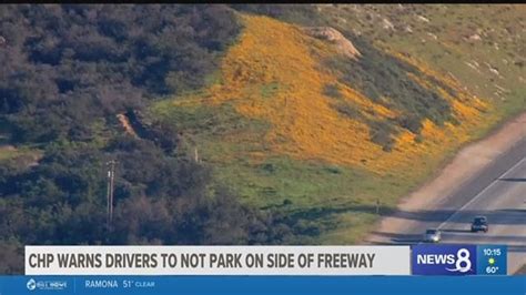 City Of Lake Elsinore Reopens Walker Canyon After Poppy Super Bloom