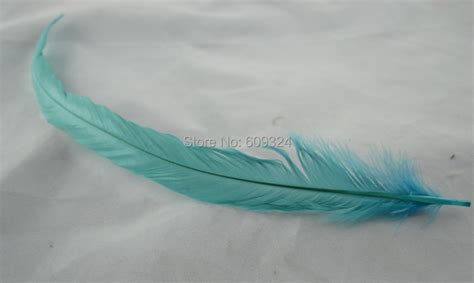 Free Shipping Wholesale 500pcslot 30 35cm Light Turquoise Cock Feather