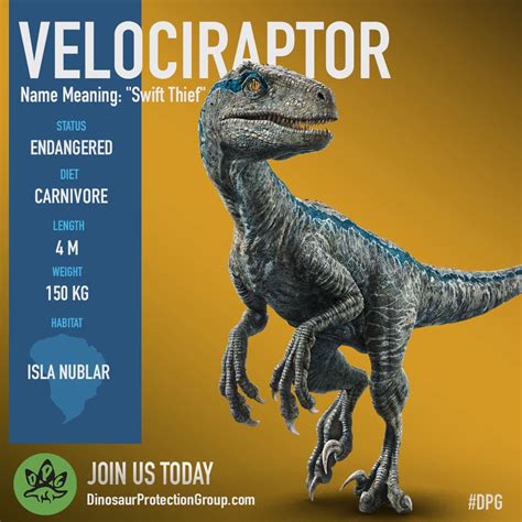 Velociraptor Dinosaur Protection Group Wiki Fandom