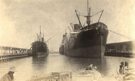 Ships With Rat Guards At Port