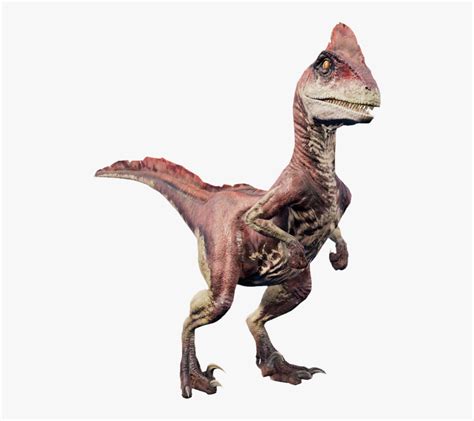 Jurassic Park Deinonychus Hd Png Download Kindpng