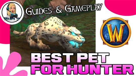 World Of Warcraft Best Pet For Hunter Guide Bfa Youtube
