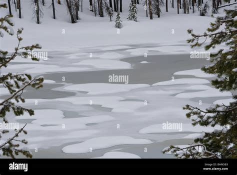 Spring Thaw In Yellowstone National Park Stock Photo Alamy