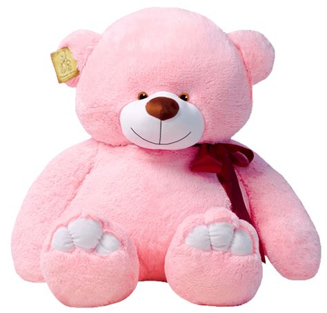 Teddy Bear Png