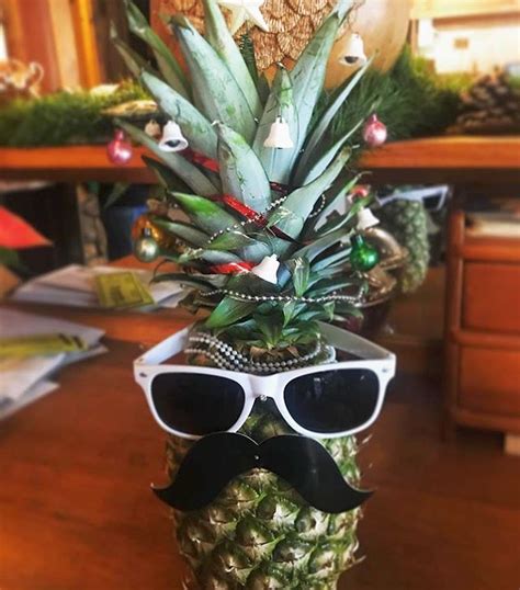 Decorating pineapple christmas trees is a fun activity, so you'll enjoy it to the core. Pineapple Christmas Tree for Ones Who Like to Experiment