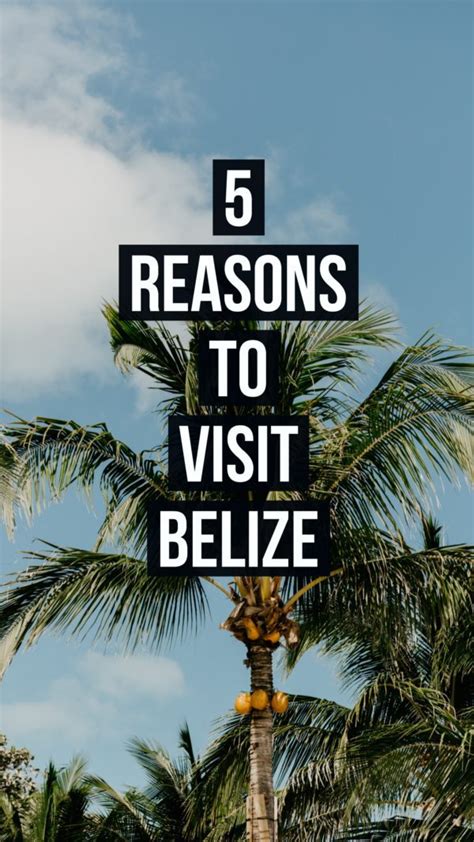 5 Reasons To Visit Belize House Fur