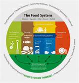 Food Security System Photos