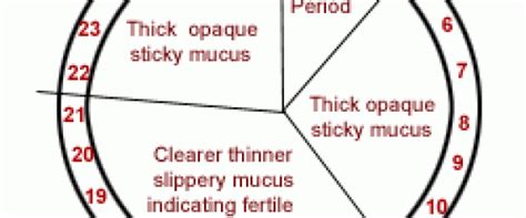 Period Like Cramps And Thick Yellow Mucous Discharge