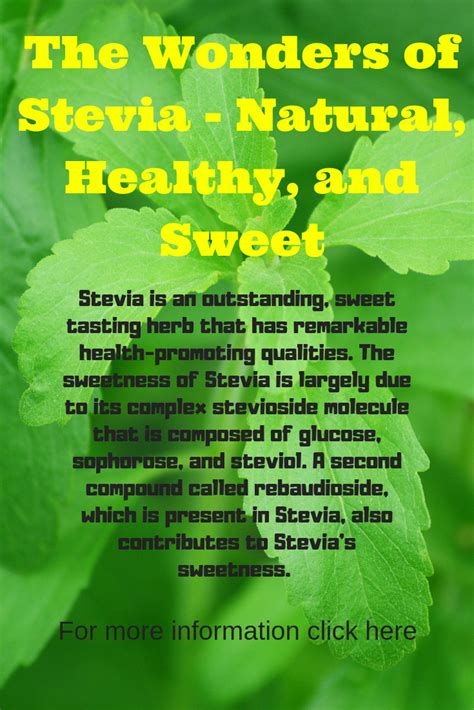The Wonders Of Stevia Natural Healthy And Sweet Health Facts