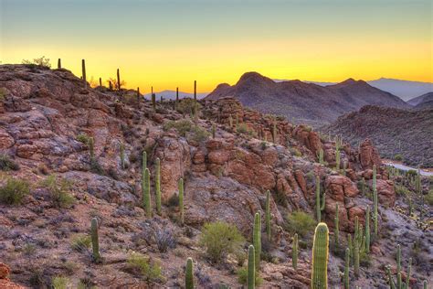 What To See And Do On A Visit To Tucson Arizona