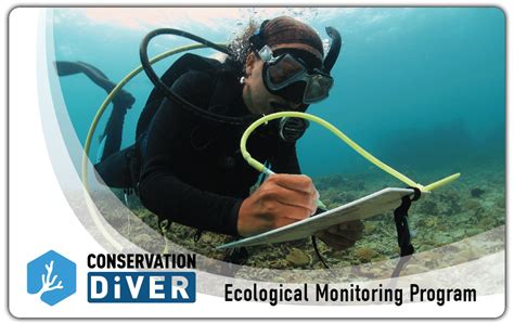 Marine Conservation Courses Conservation Diver