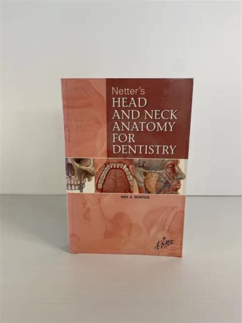 Netters Head And Neck Anatomy For Dentistry By Neil Scott Norton