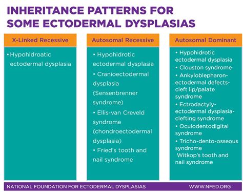 Inheritance Patterns National Foundation For Ectodermal Dysplasias