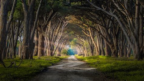 25 Magical Paths Begging To Be Walked