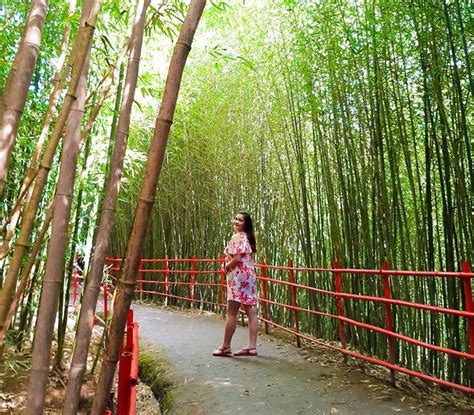 The business parks of tomorrow for the visionaries of today. Baguio's Bamboo Eco Park Temporarily Closes Because of Vandals