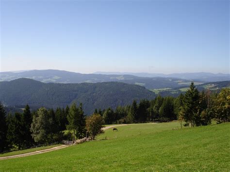 Feldkasten Biohof Lurger Landlust Steiermark