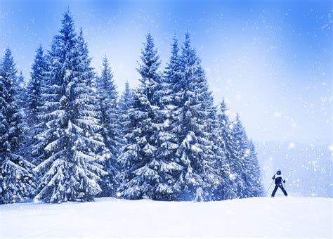 Christmas Winter Landscape Stock Photo Image Of Forest 104341138