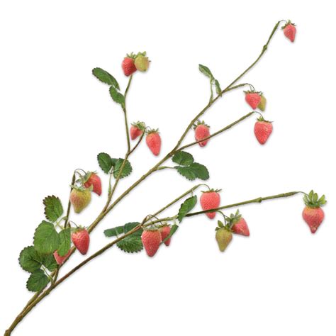 Strawberry Fruit Branch Red H Pot Vaas Sfeermakers