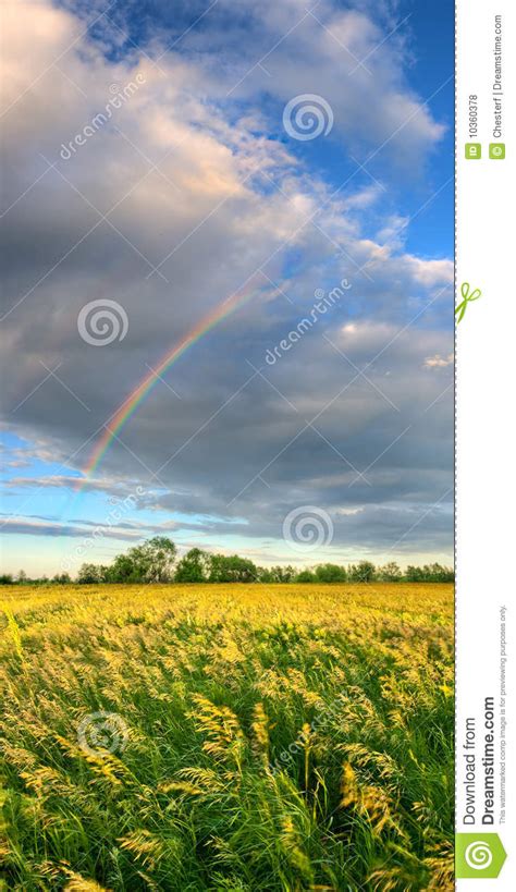 Vertical Panorama With Rainbow Stock Photo Image Of Background Color