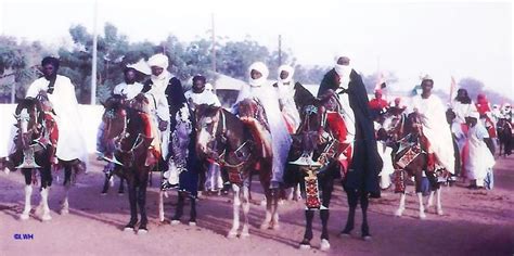 dongola dongolowi cameroonian foulbes horse breed horse breeds horses breeds