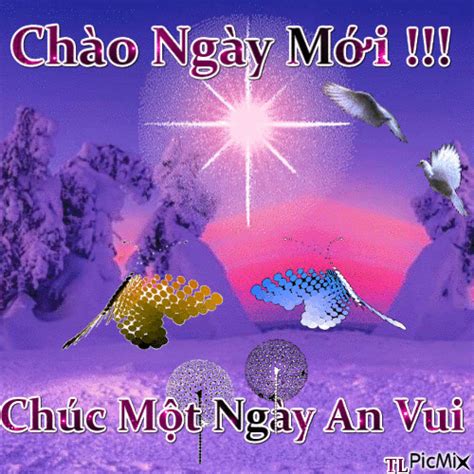 The Cover Art For Chao Ngay Mois Album Chic Not Nagy An Vui